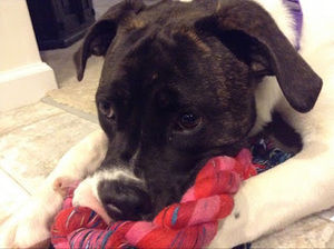 Meet your Posher, Briana